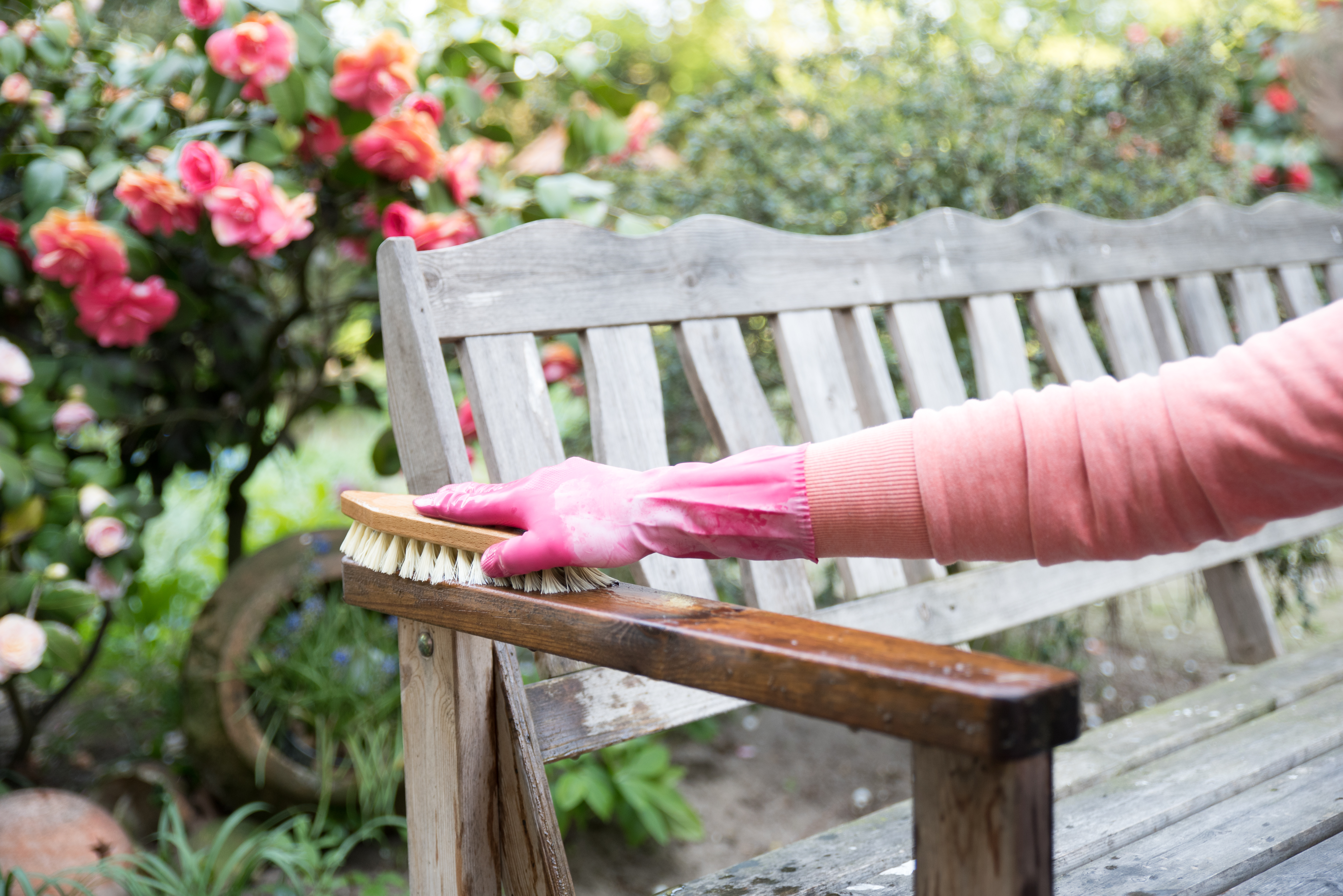 Reinigung Gartenbank