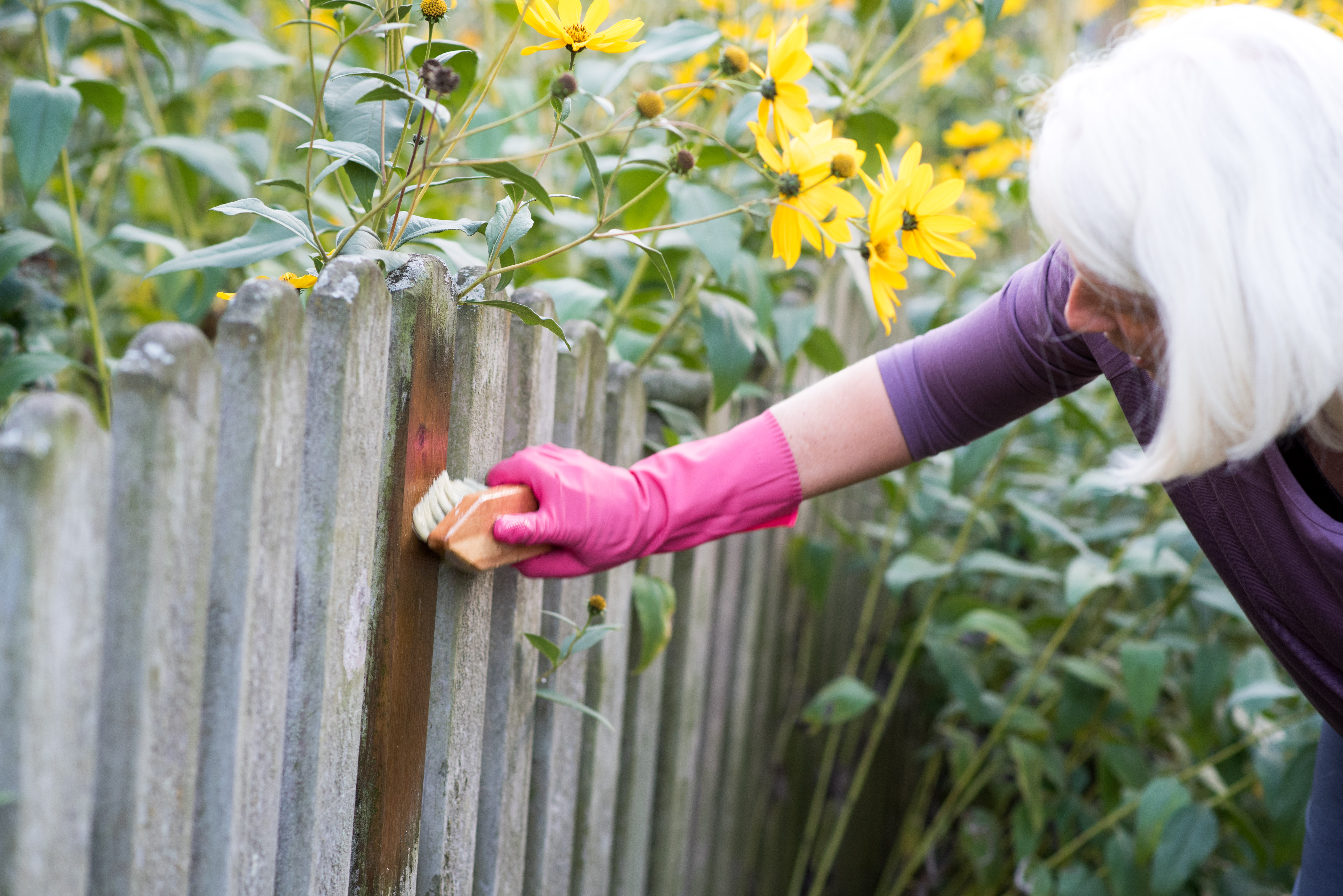 pure Reine Soda Gartenzaun