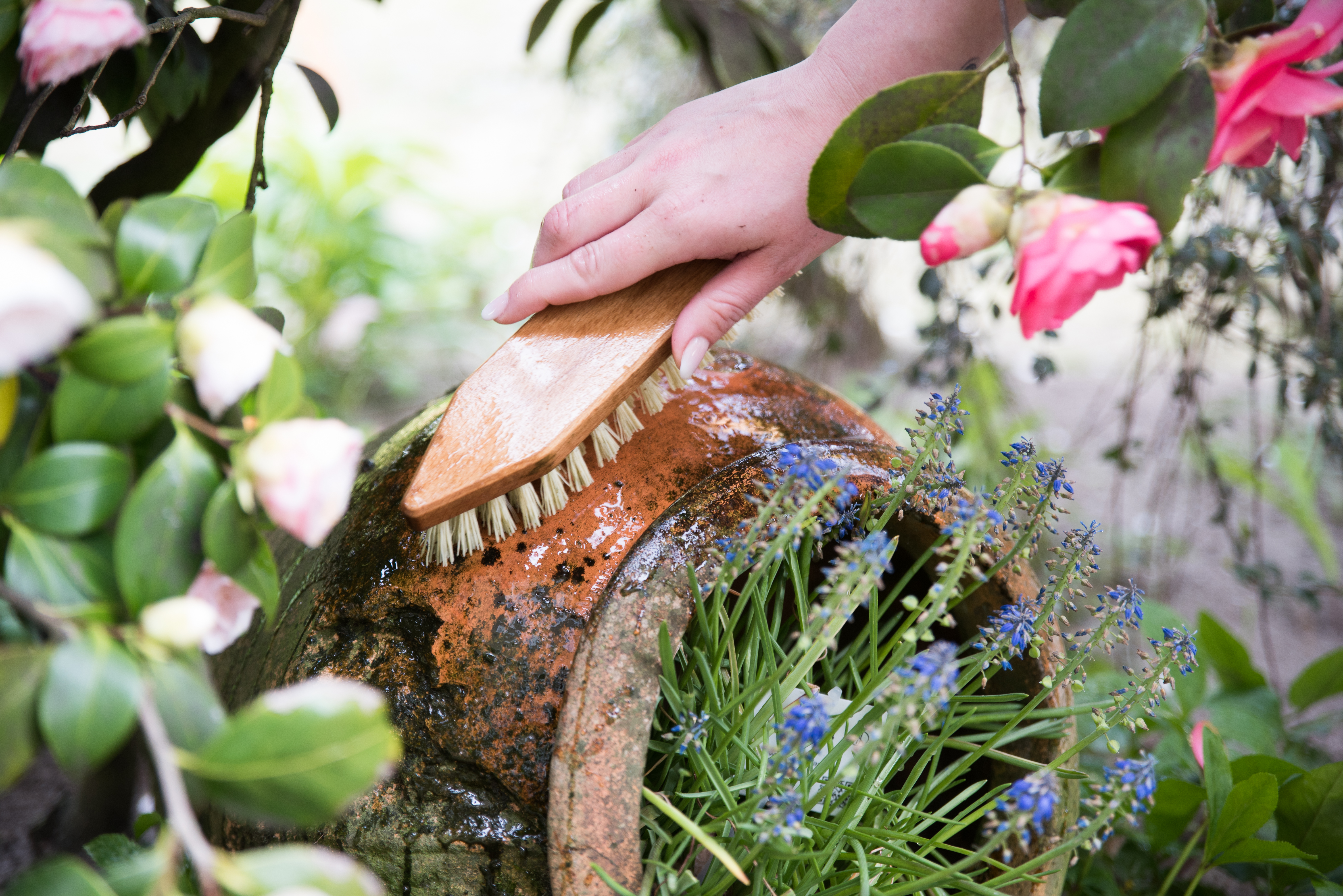 Reine Soda Blumentopf