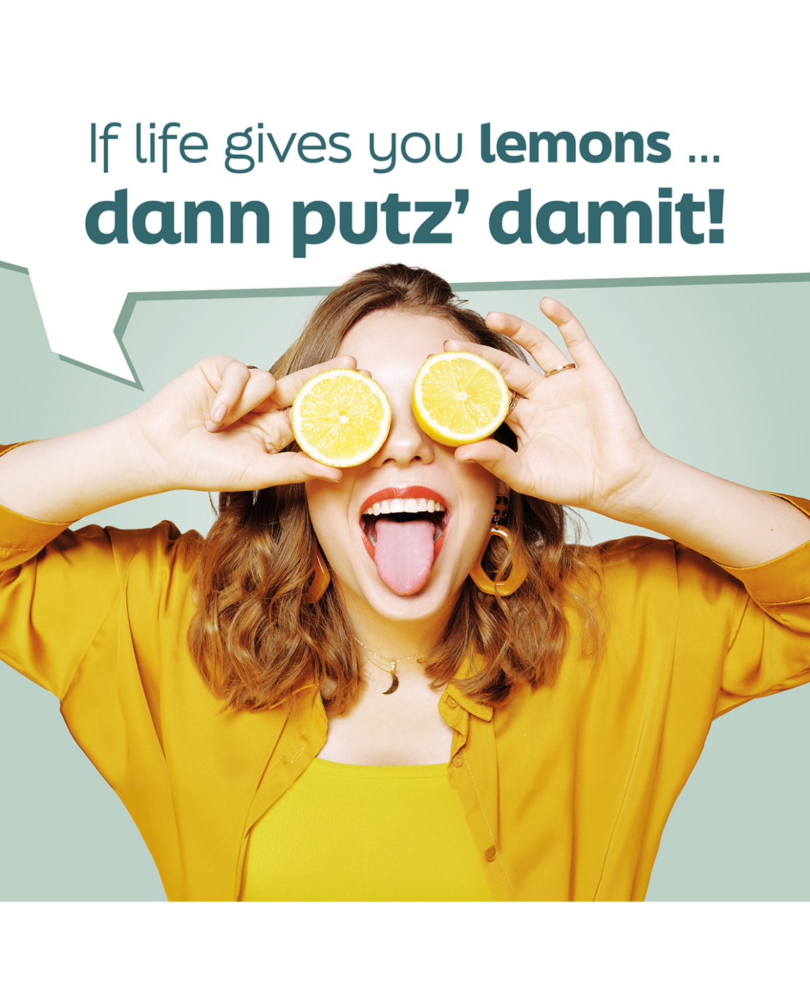 HEITMANN Pure Citric Acid Spray 500 ml